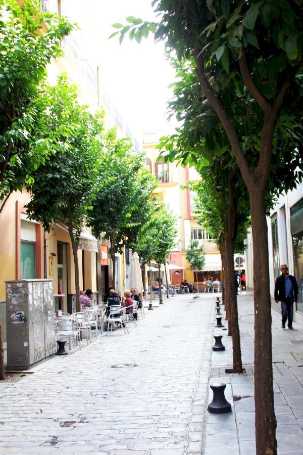 Plaza Nueva Terraza Apartment Seville Exterior photo